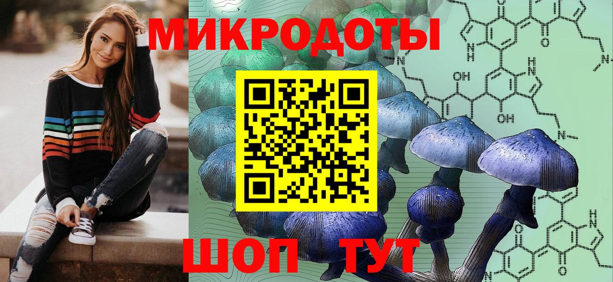 Псилоцибиновые грибы GOLDEN TEACHER Обь